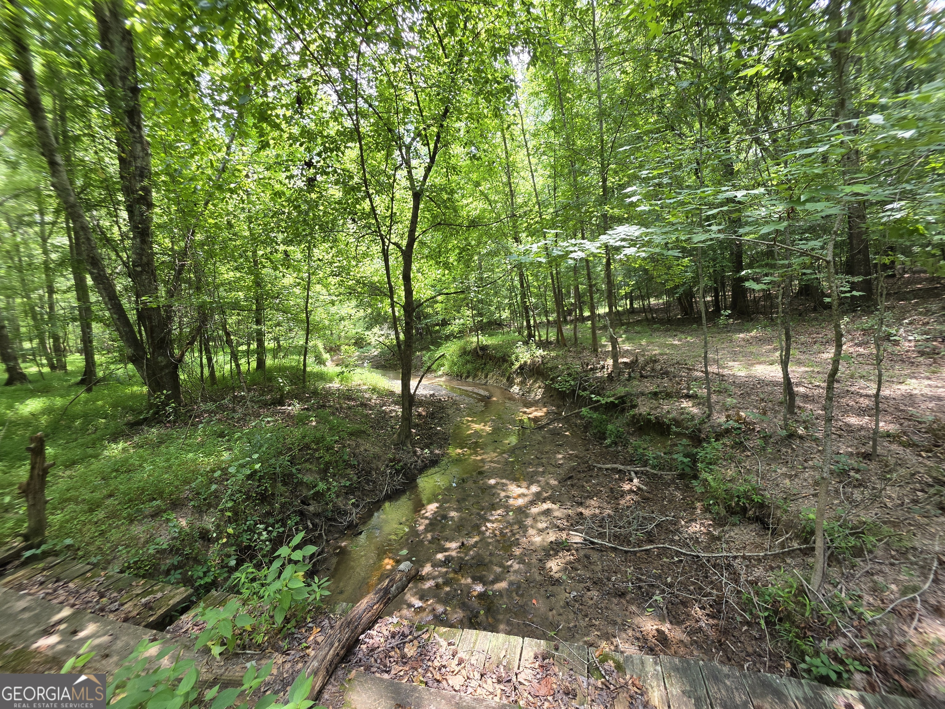 0 Court Ground Washington, GA 30673 - Photo 36 of 46 Gallery Image 36