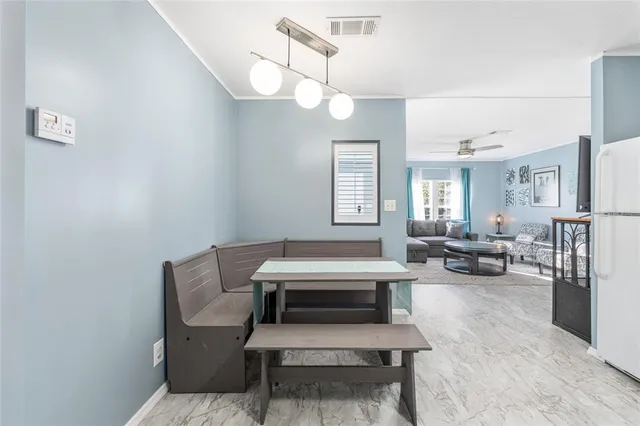 a view of a two chairs in the garden