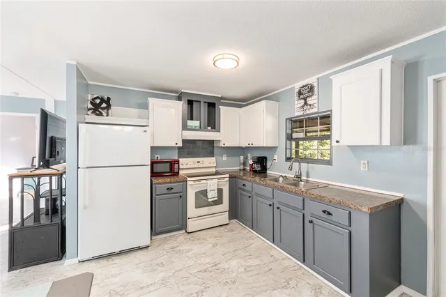 a view of a big yard with large trees