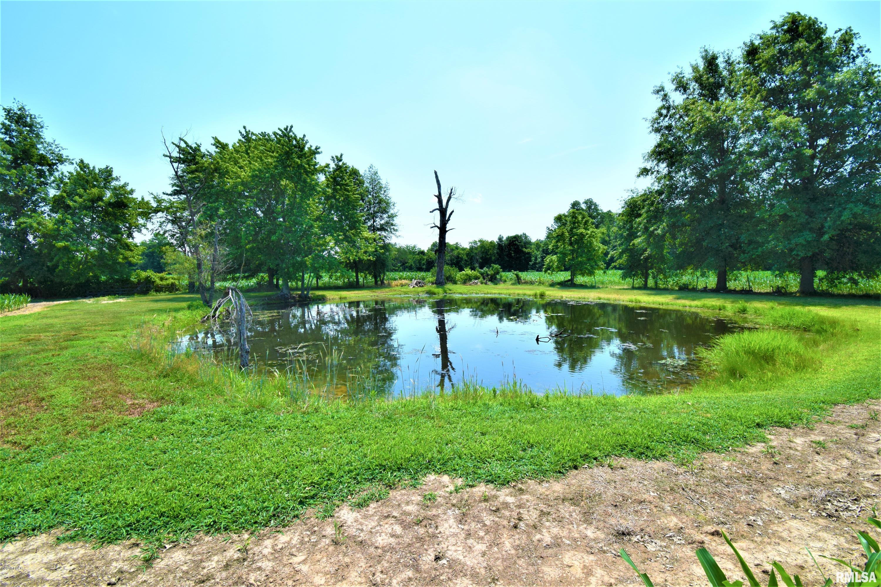 9147 East Bakerville Road Mount Vernon, IL 62864 - Photo 23 of 27 Gallery Image 23