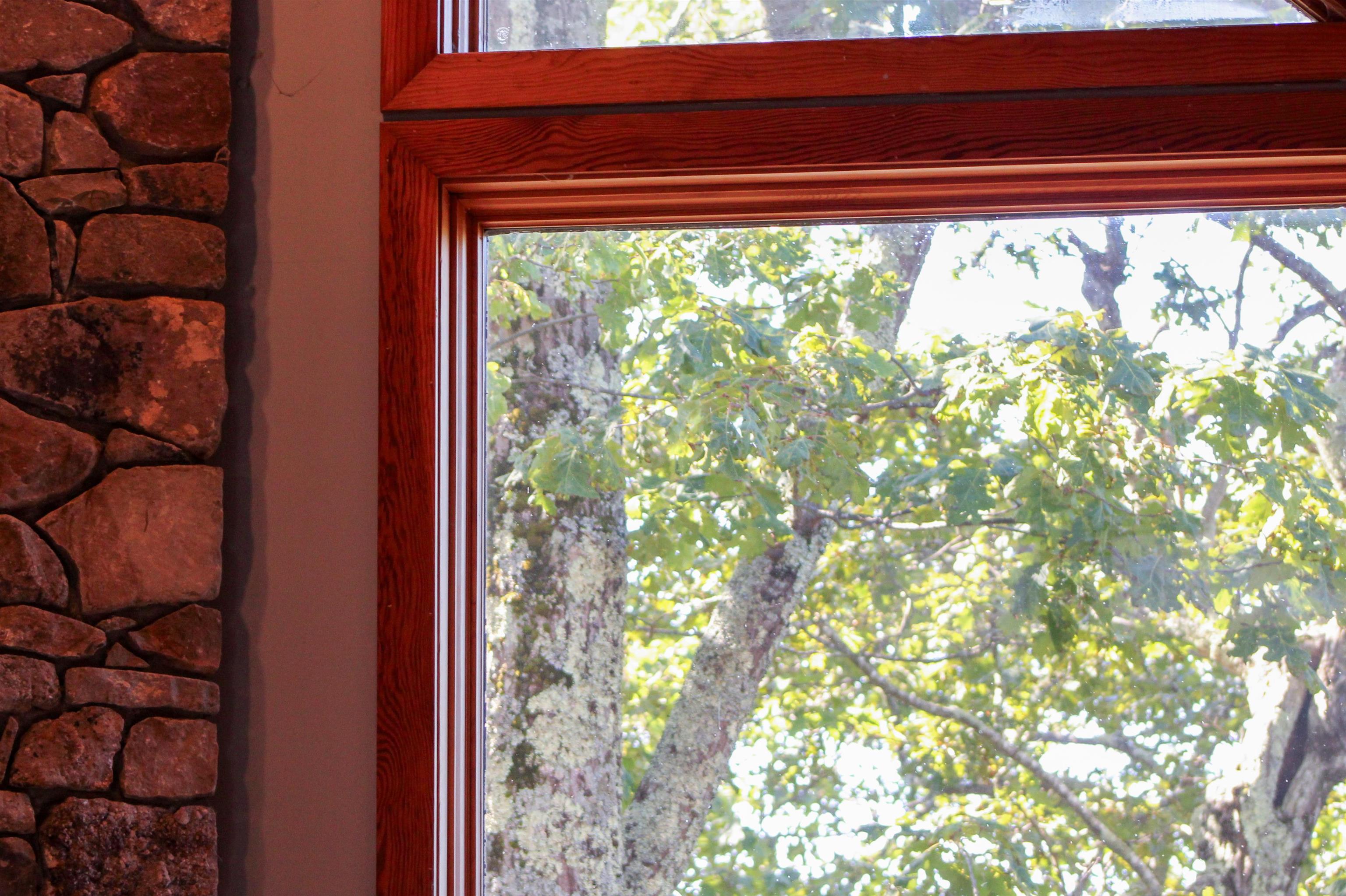 781 Devils Knob Loop Roseland, VA 22967 - Photo 33 of 68 a view of a window