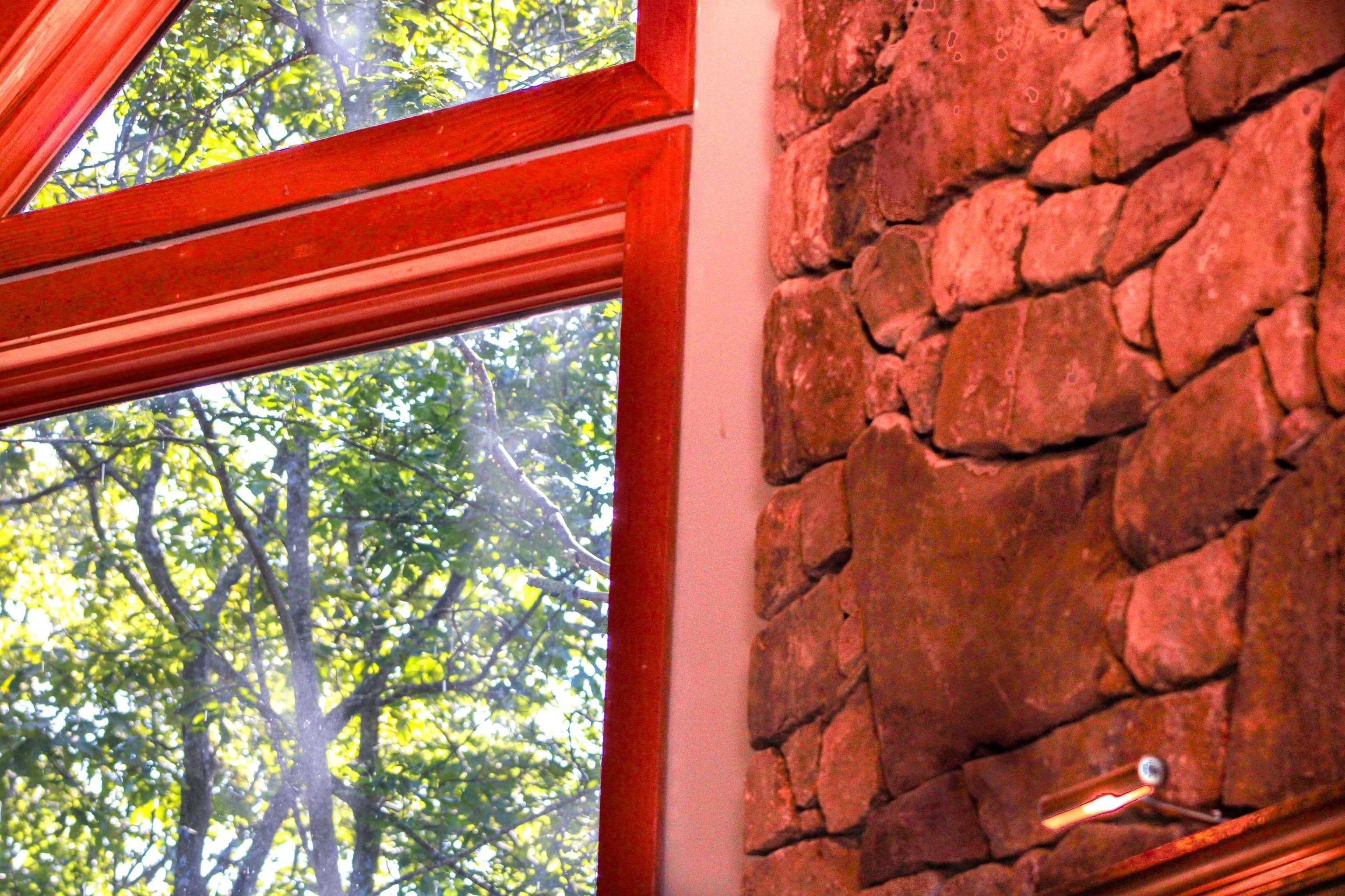 781 Devils Knob Loop Roseland, VA 22967 - Photo 35 of 68 front view of a house