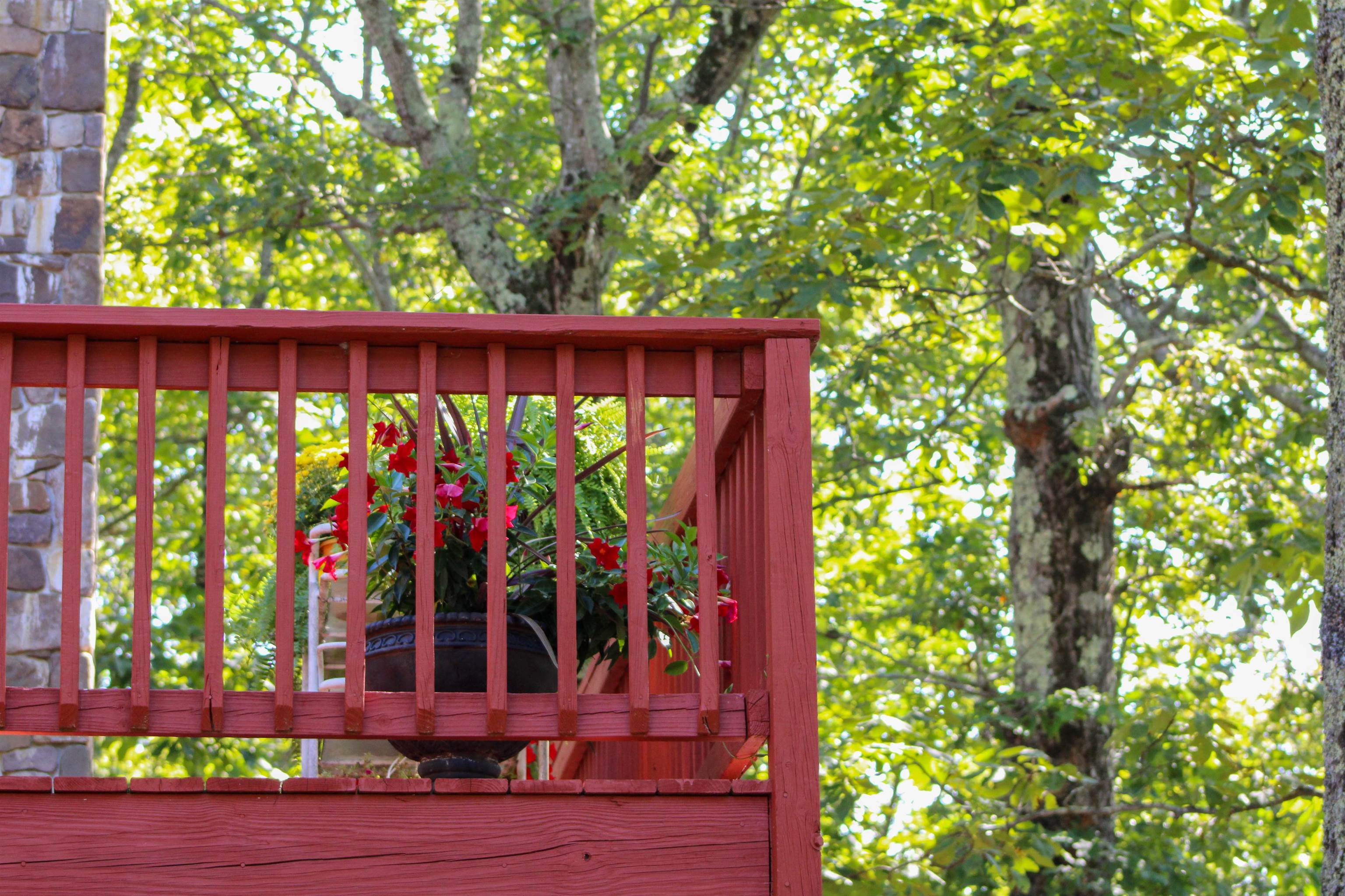 781 Devils Knob Loop Roseland, VA 22967 - Photo 47 of 68