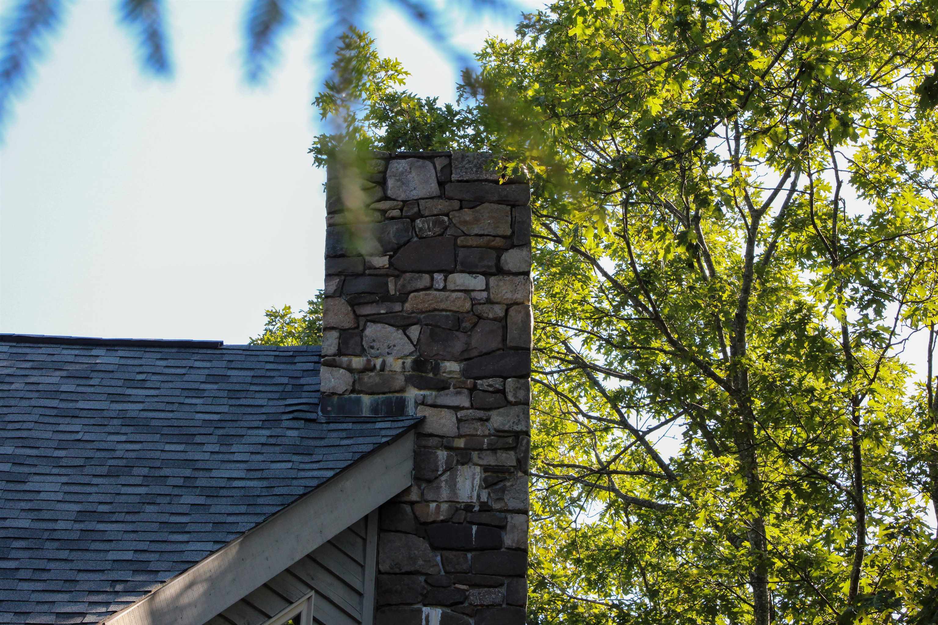 781 Devils Knob Loop Roseland, VA 22967 - Photo 51 of 68 a view of building