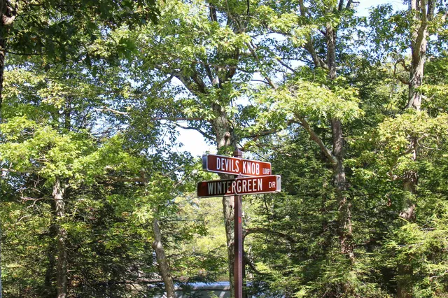 $699,000 | 781 Devils Knob Loop, Roseland, VA 22967