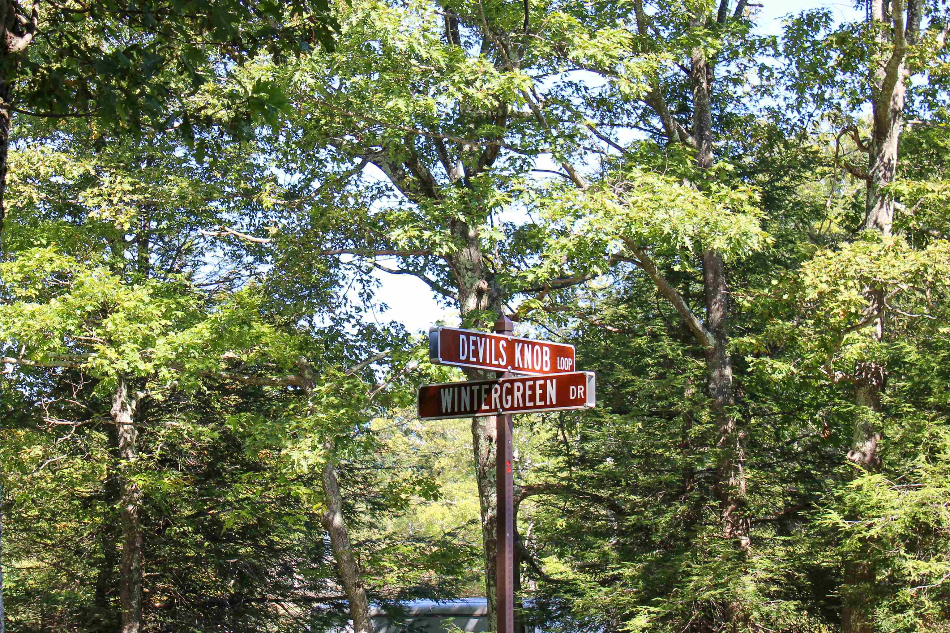 781 Devils Knob Loop Roseland, VA 22967 - Photo 55 of 68