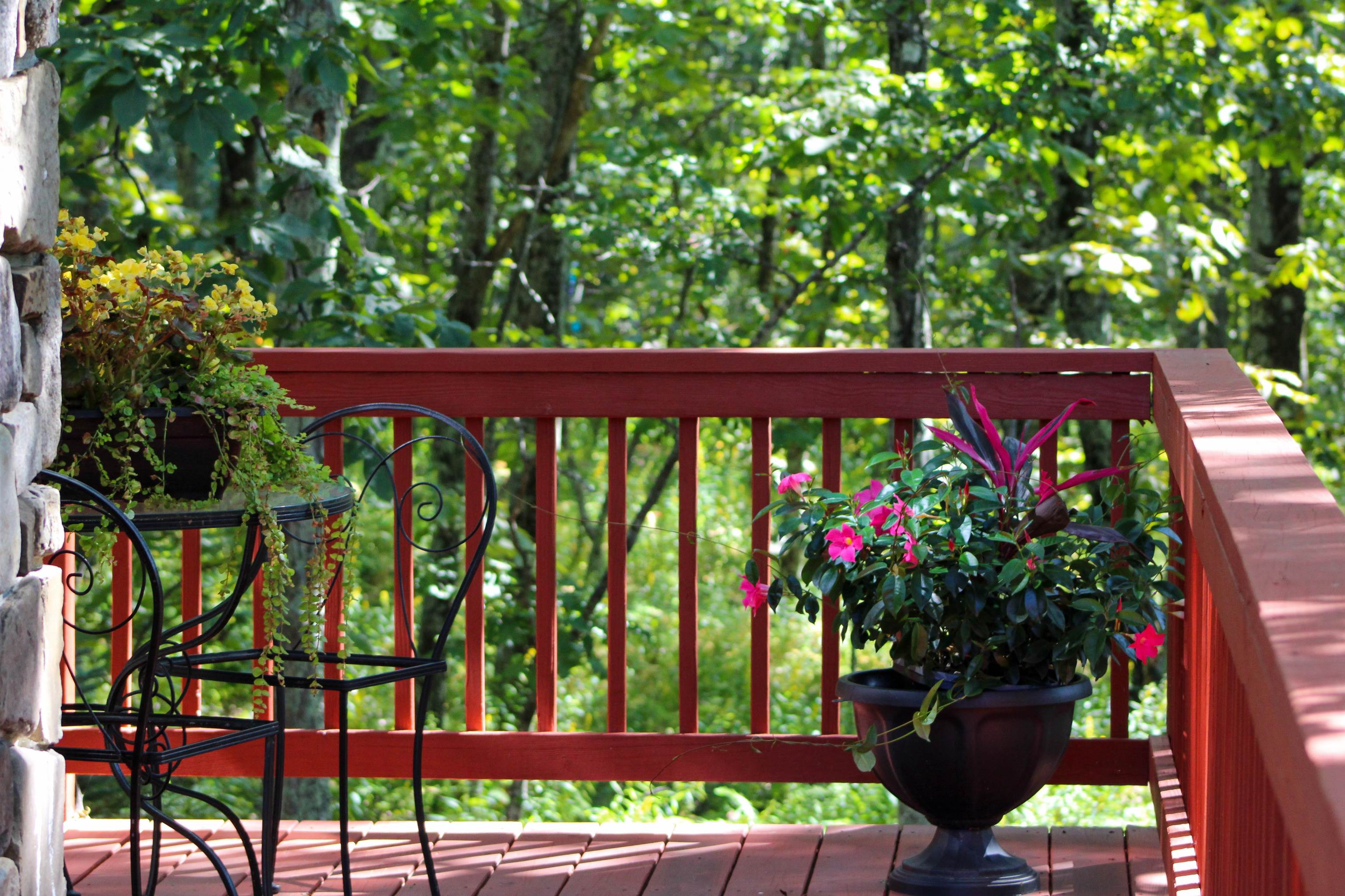 781 Devils Knob Loop Roseland, VA 22967 - Photo 6 of 68