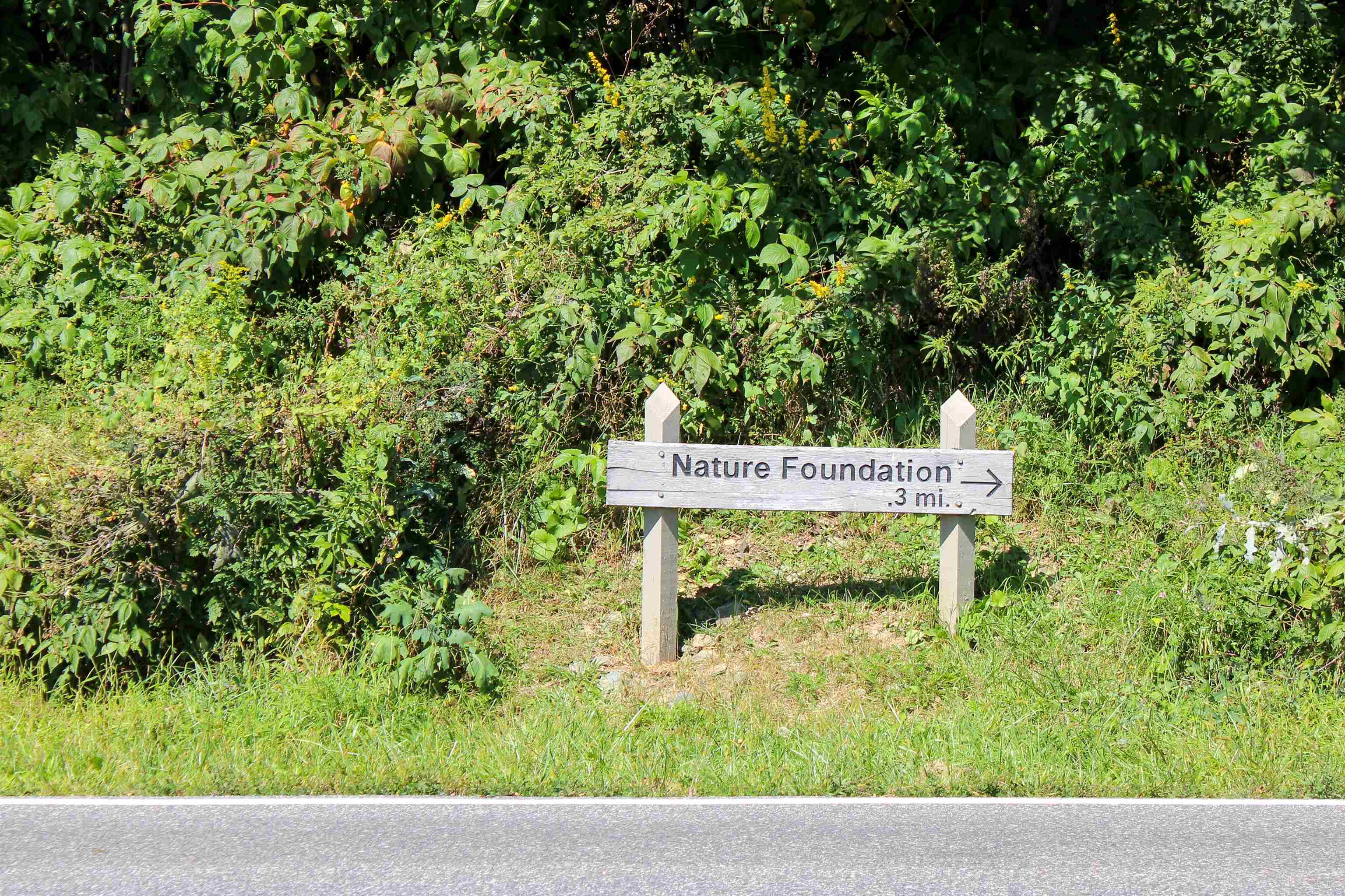 781 Devils Knob Loop Roseland, VA 22967 - Photo 68 of 68