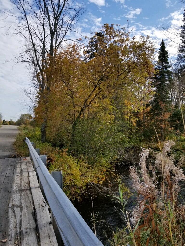 103 West 16 Mile Road Dafter, MI 49724 - Photo 26 of 26 Gallery Image 26