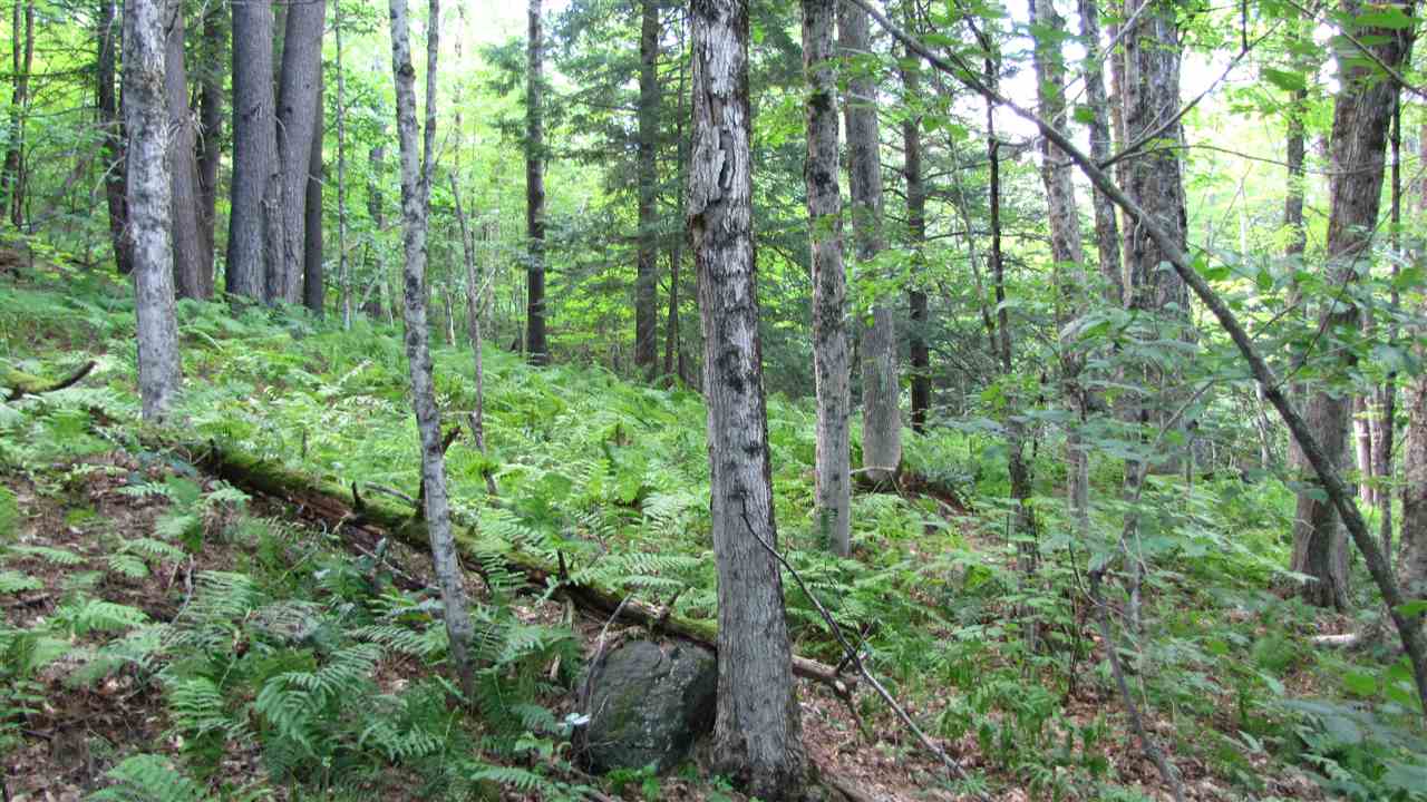 92 Josh Road Halifax, VT 05301 - Photo 22 of 22 Gallery Image 22