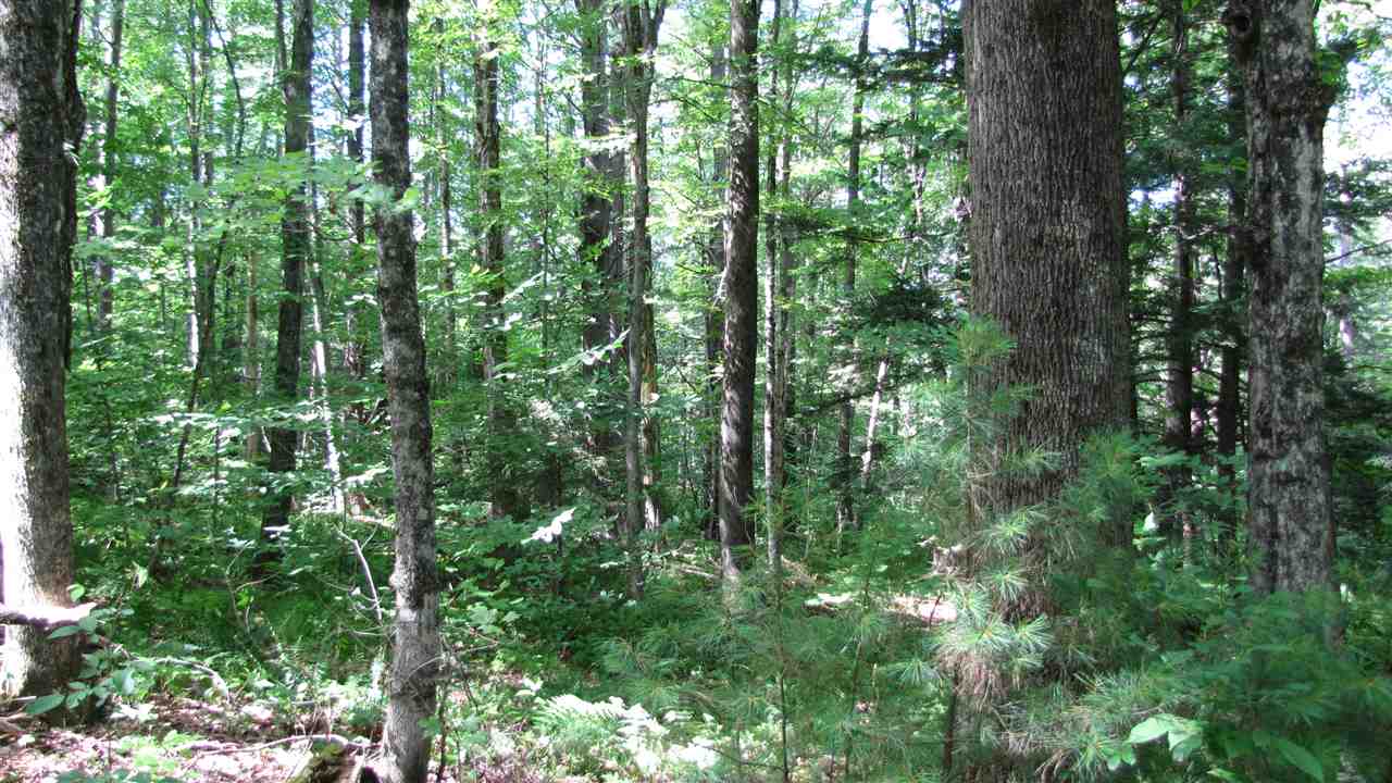 92 Josh Road Halifax, VT 05301 - Photo 8 of 22 Gallery Image 8