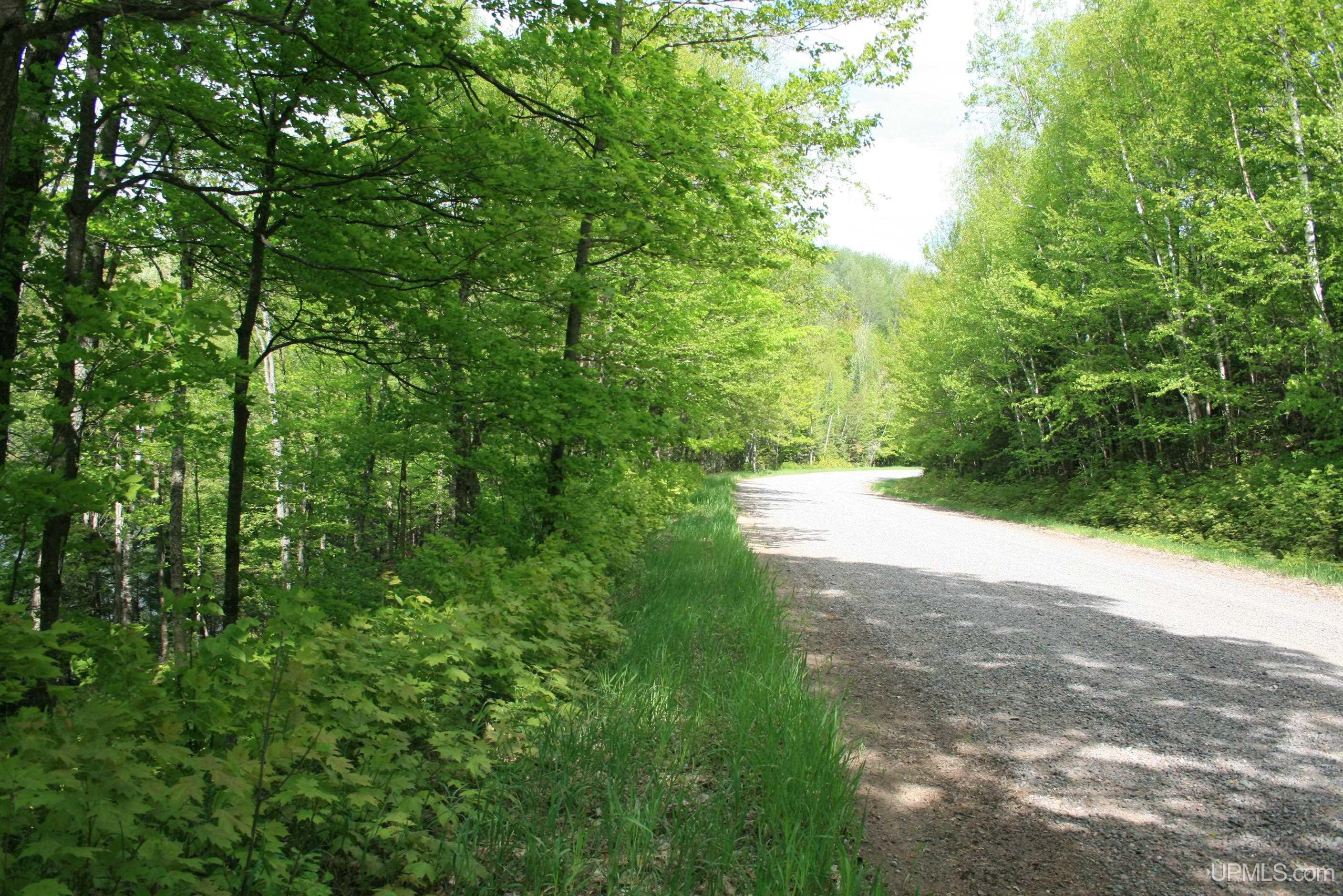 Tbd Sucker Lake Road Watersmeet, MI 49969 - Photo 11 of 24