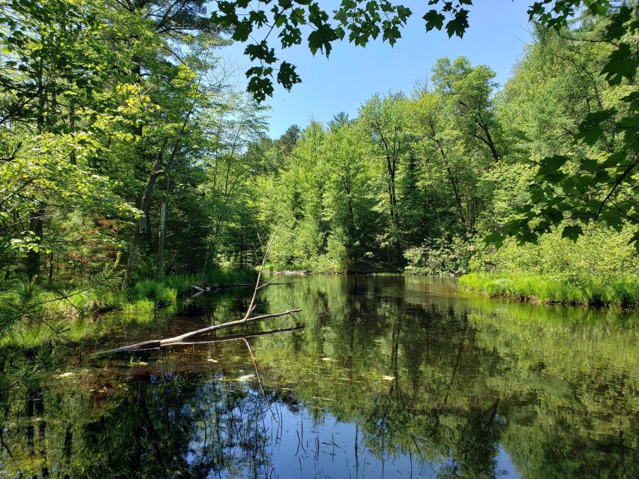 Lot #2 Highlander Road Eagle River, WI 54521 - Photo 7 of 8 Gallery Image 7