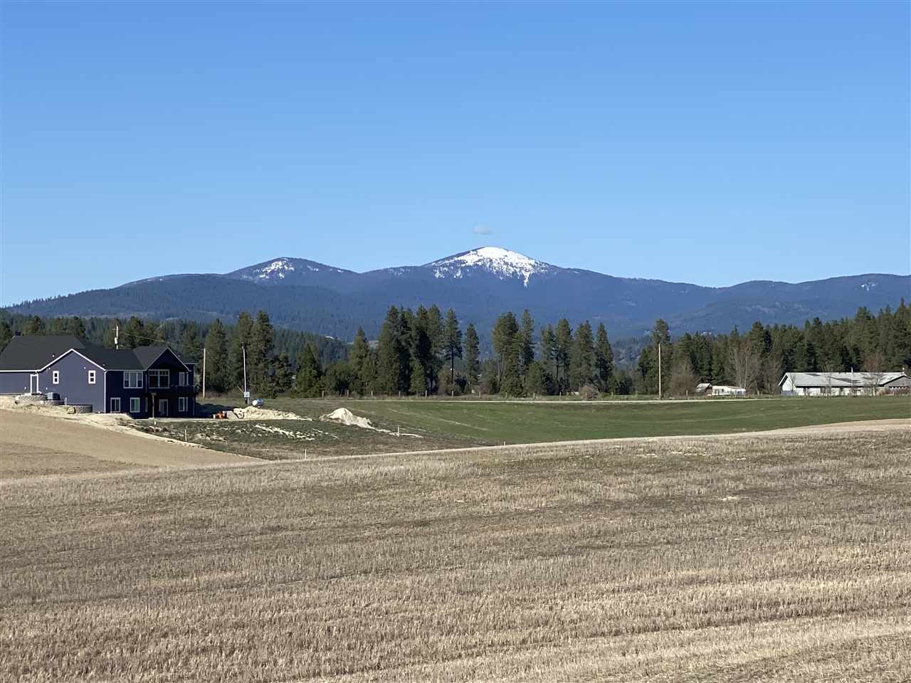 13216 North Peone Road Mead, WA 99021 - Photo 7 of 20