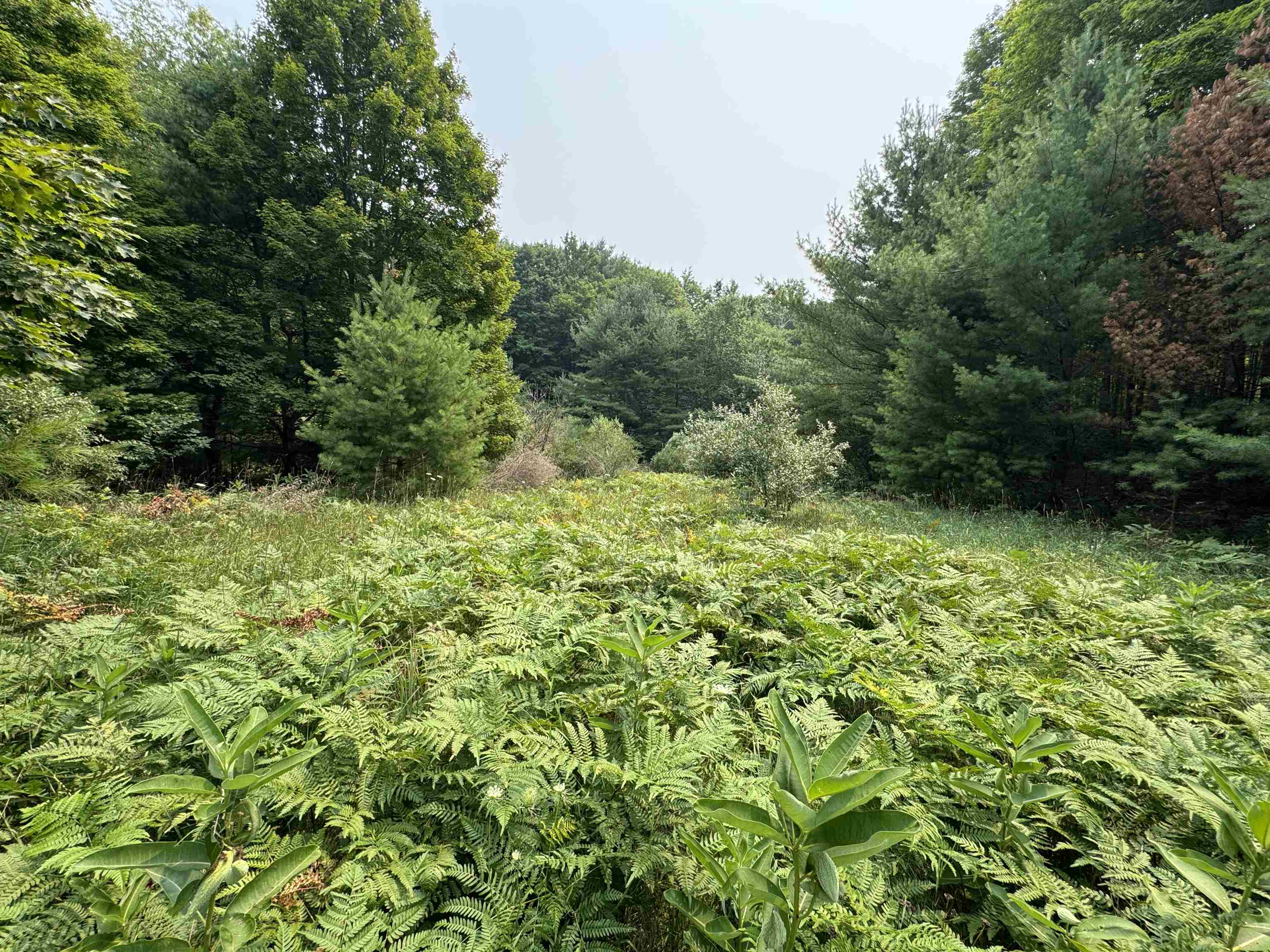 Lot #4 East Bellinger Road, Unit BELLINGER ESTATES Cedar, MI 49621 - Photo 6 of 27