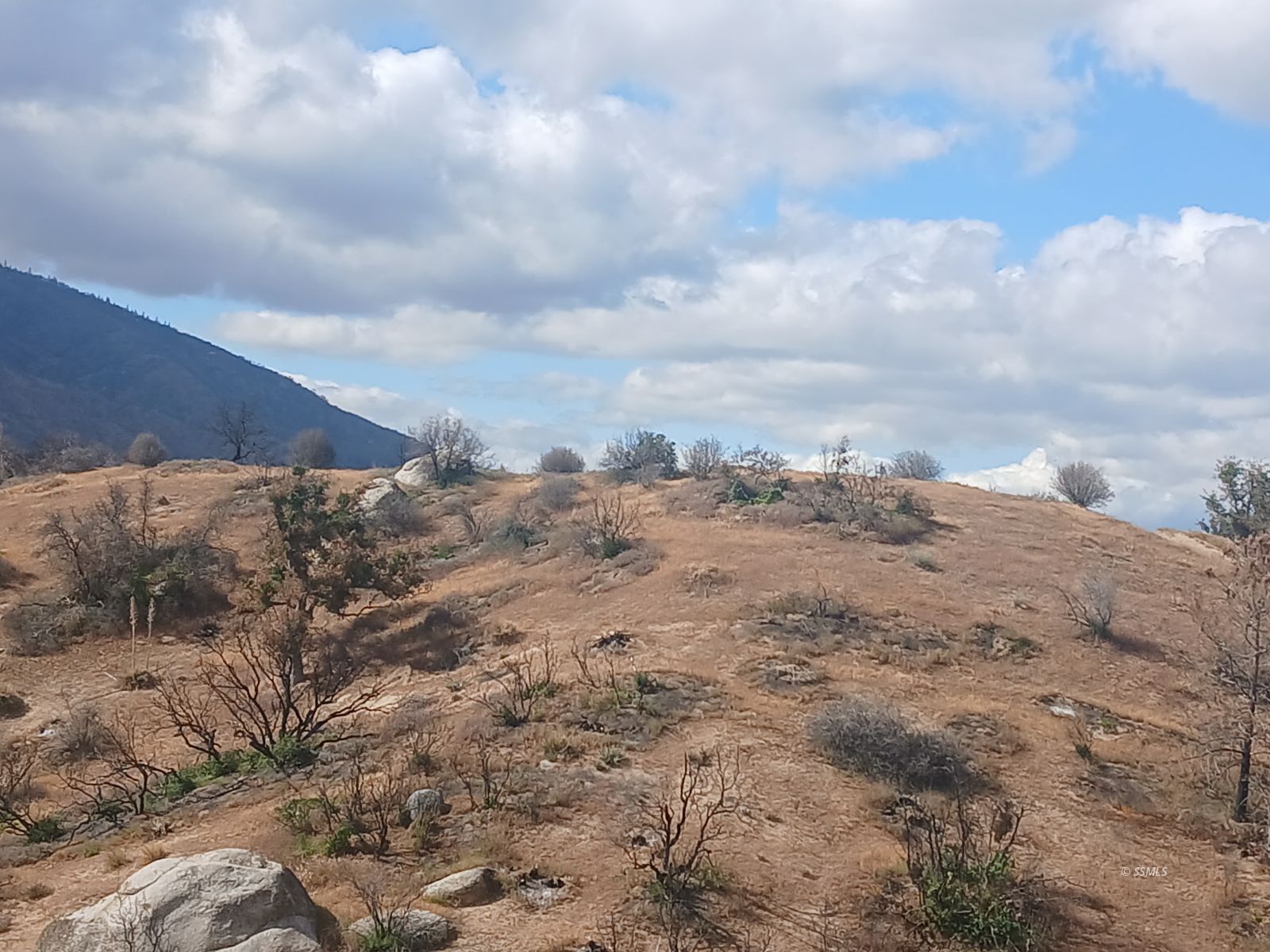 Kendall Road Caliente, CA 93518 - Photo 9 of 11