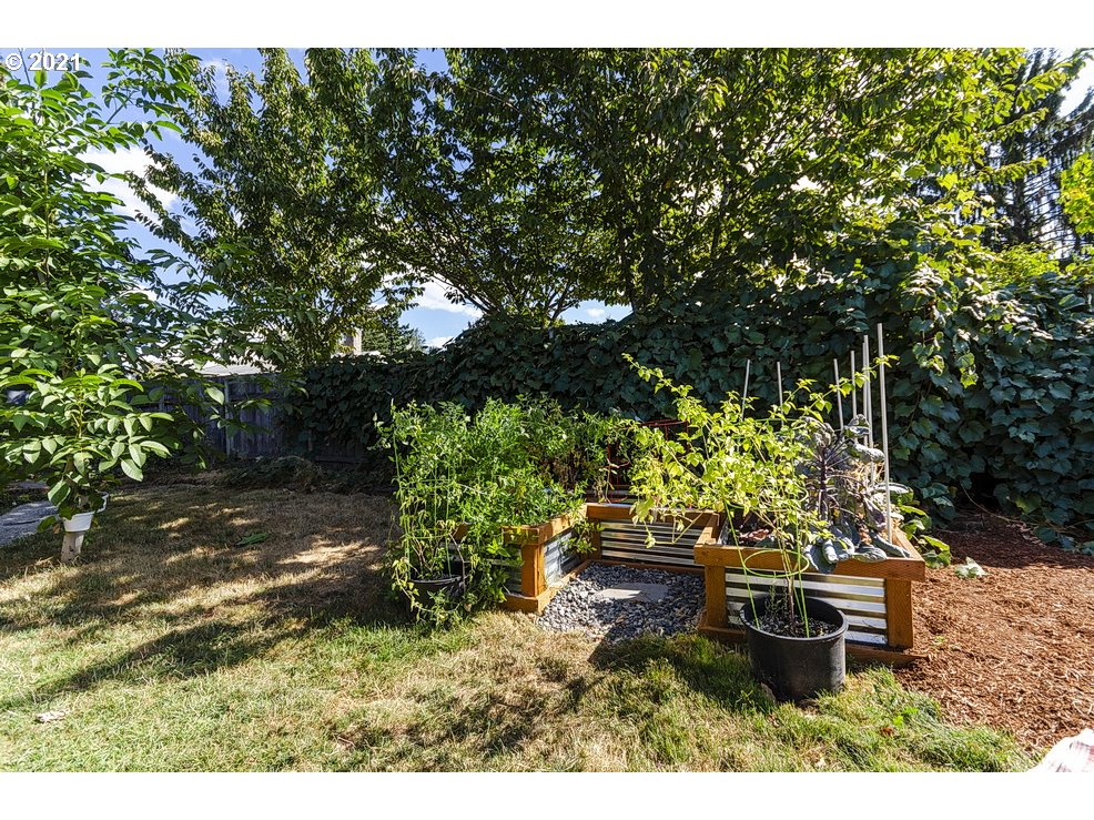 290 Southeast Palmblad Drive Gresham, OR 97080 - Photo 30 of 32 a backyard of a house with lots of green space