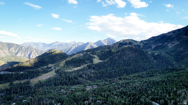 3 Sundance Rec Resort, Unit 3 Provo, UT 84604 - Photo 20 of 30 Mountainous terrain with extensive tree coverage and visible cleared ski slopes