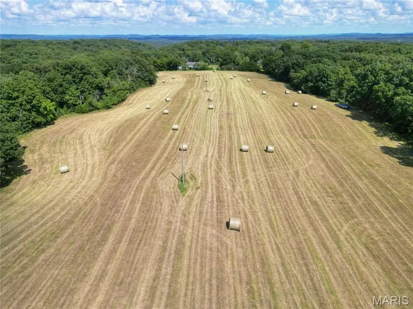 $550,000 | 17351 Hwy Nn, Bowling Green, MO 63334