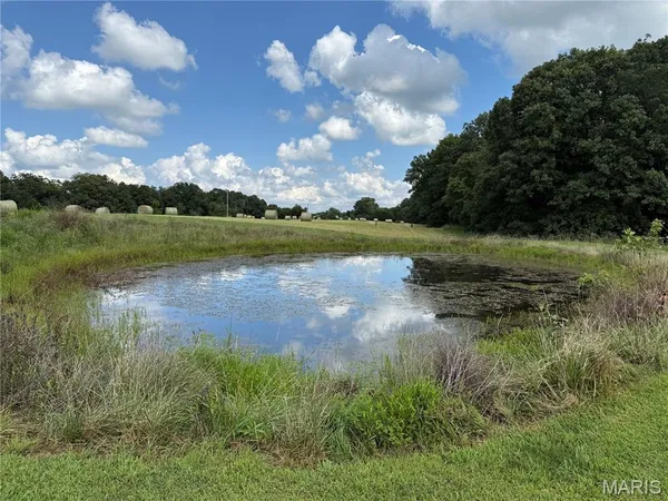 $550,000 | 17351 Hwy Nn, Bowling Green, MO 63334