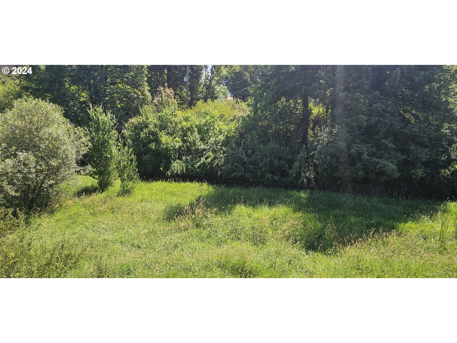 20239 Northwest Pihl Road Banks, OR 97106 - Photo 29 of 35 a view of a yard