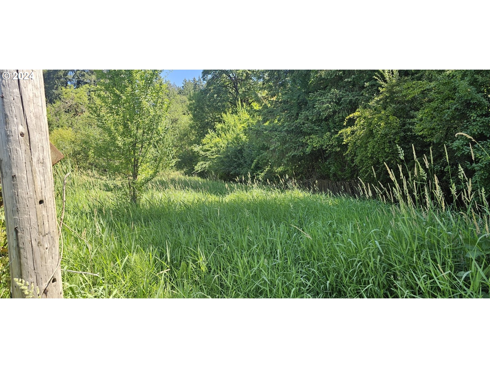20239 Northwest Pihl Road Banks, OR 97106 - Photo 30 of 35 a view of a garden