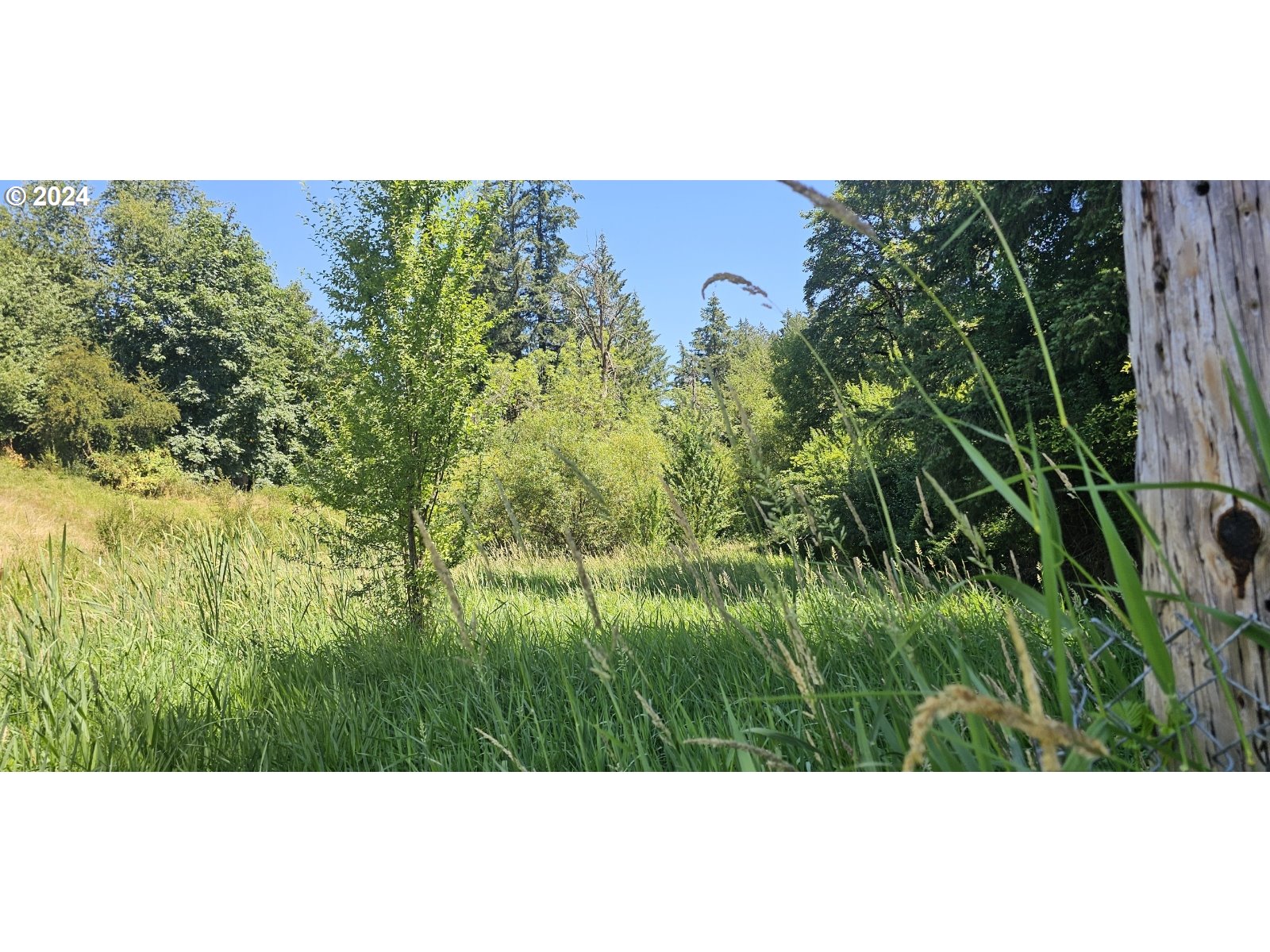 20239 Northwest Pihl Road Banks, OR 97106 - Photo 31 of 35 a view of a bunch of plants and flowers