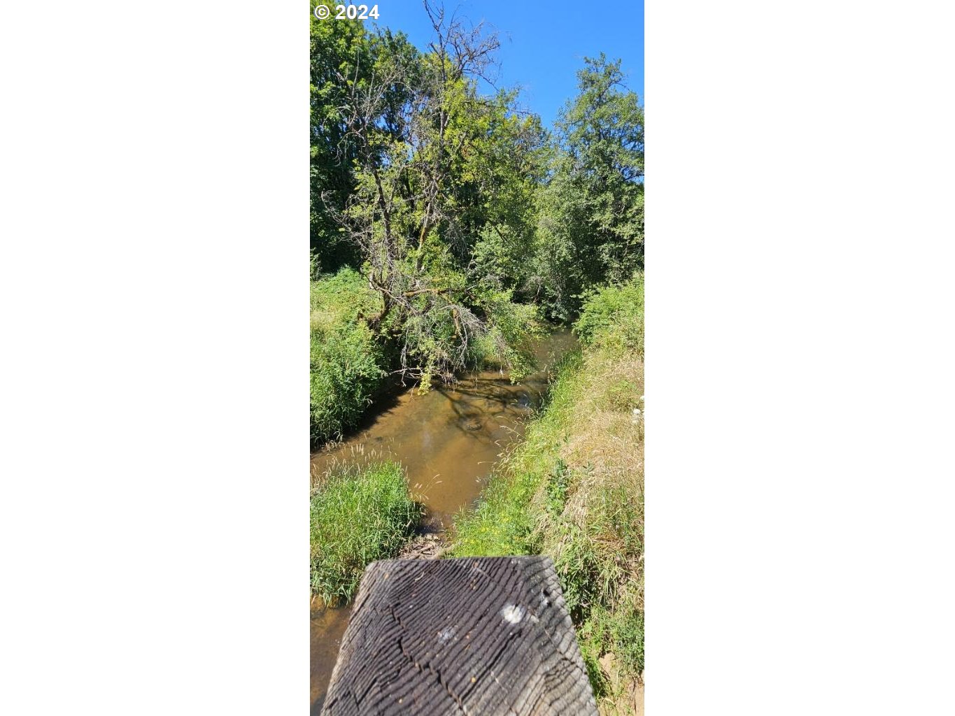 20239 Northwest Pihl Road Banks, OR 97106 - Photo 32 of 35 a view of a yard