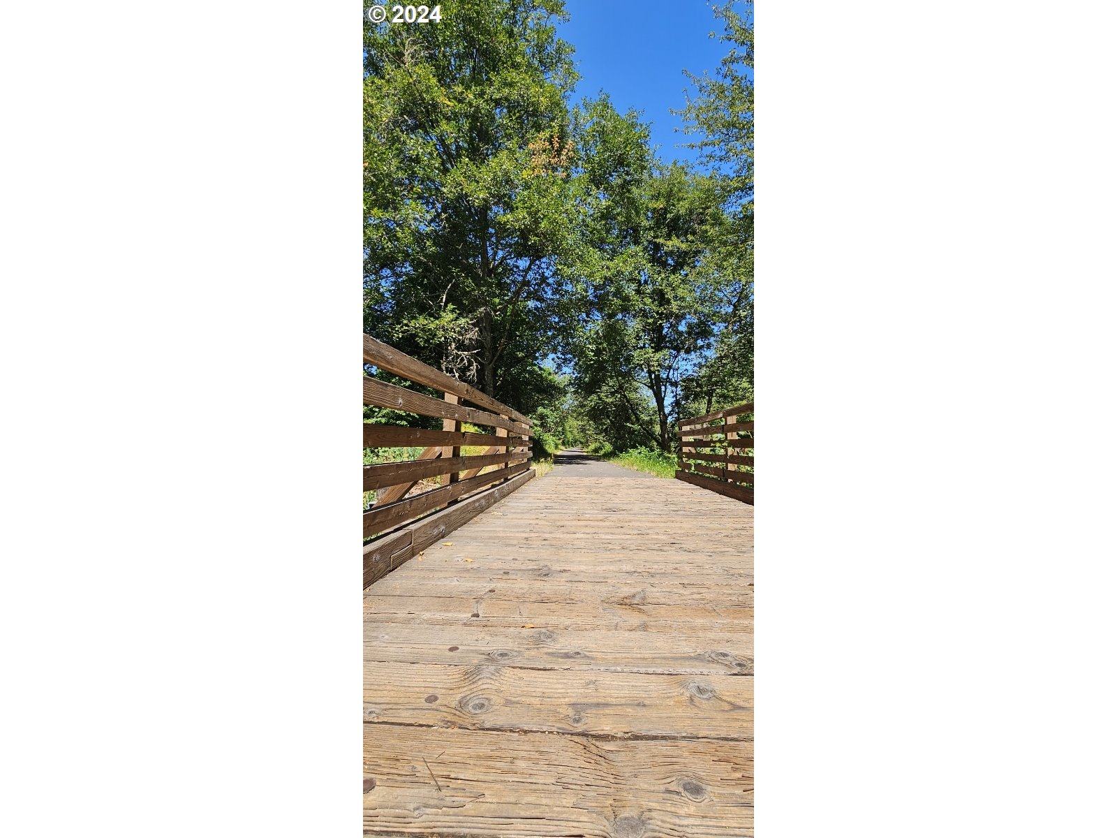 20239 Northwest Pihl Road Banks, OR 97106 - Photo 34 of 35 a view of a forest