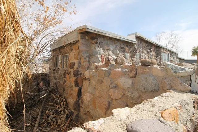a view of a yard with plants and trees