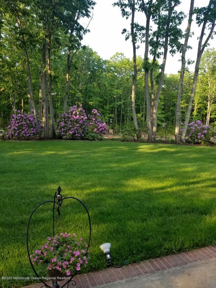 934 Hyson Road Jackson, NJ 08527 - Photo 41 of 43 a garden view with a fountain