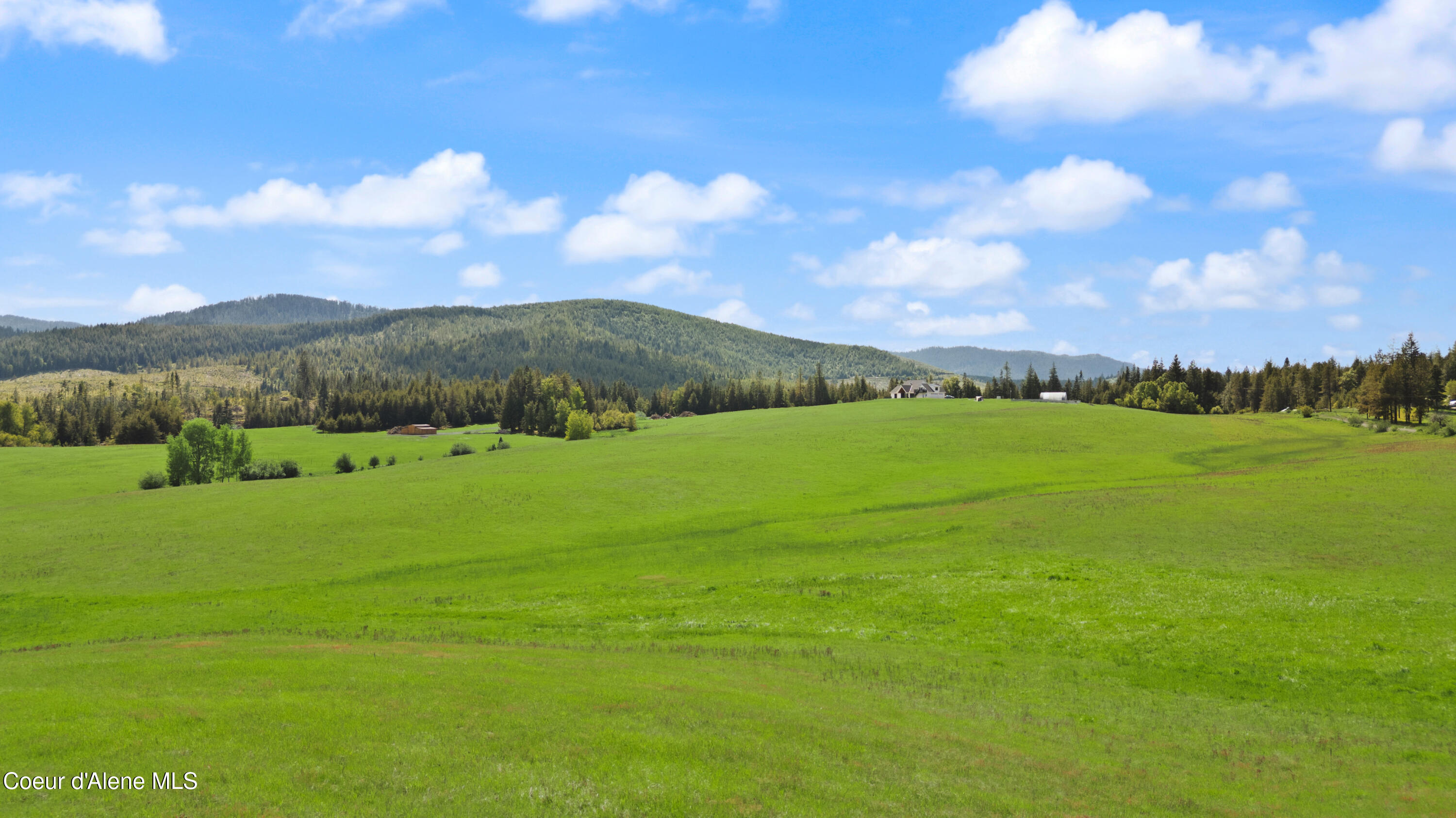 88 Alder Creek Loop Road St. Maries, ID 83861 - Photo 92 of 95 Copy of DJI_0895