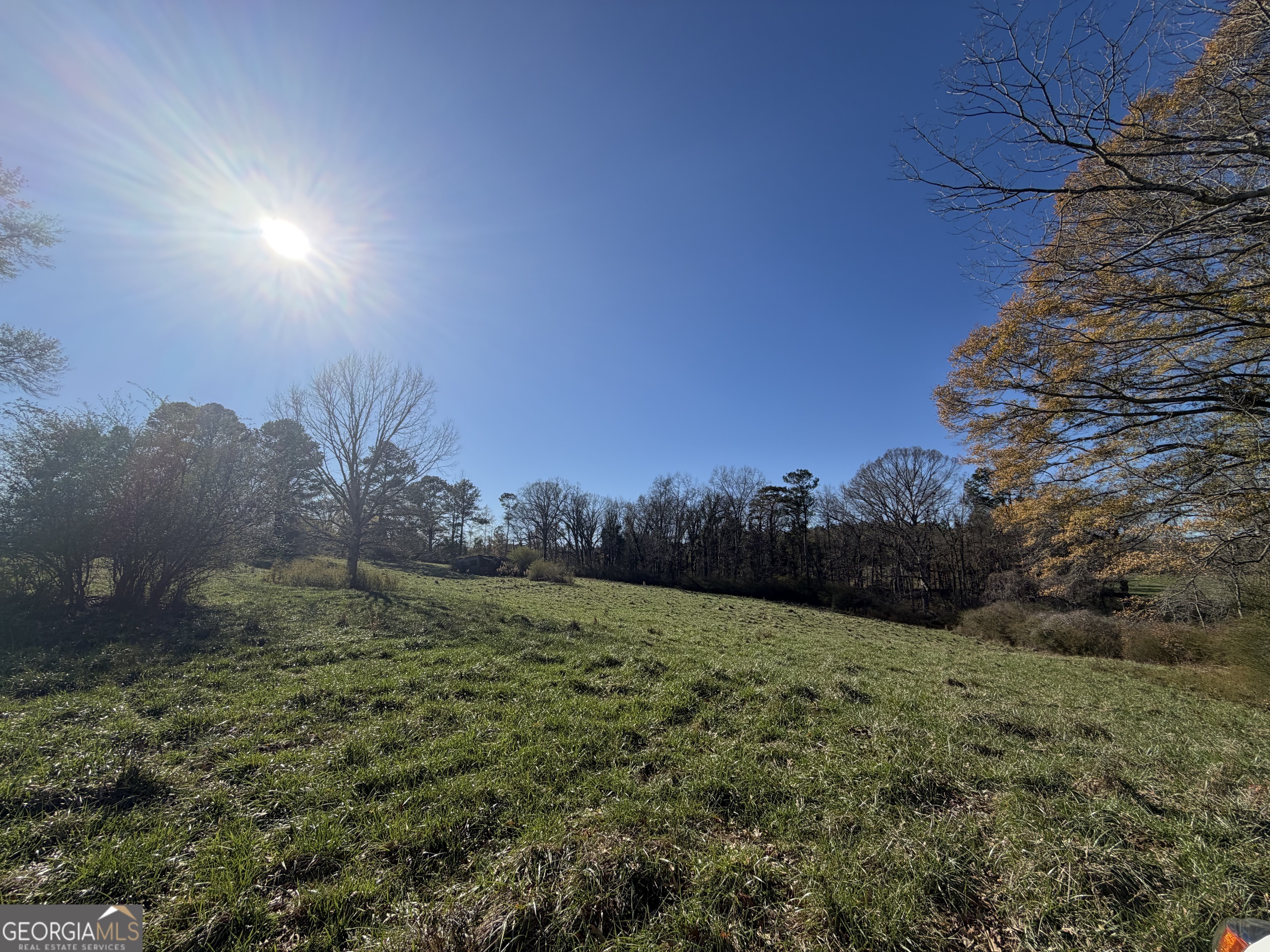 718 Duncan Road Carrollton, GA 30116 - Photo 37 of 41