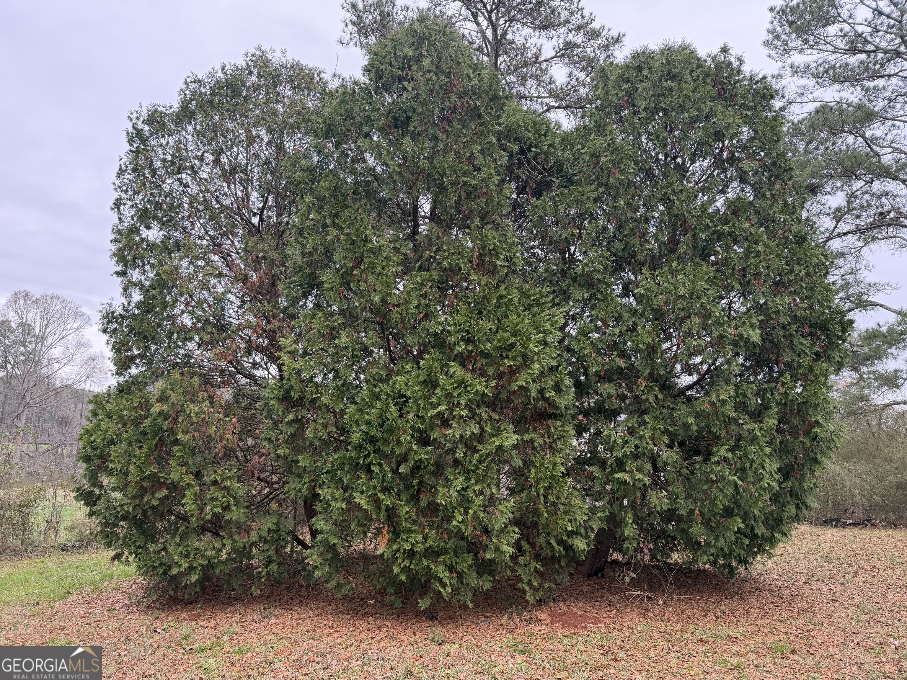 718 Duncan Road Carrollton, GA 30116 - Photo 4 of 41