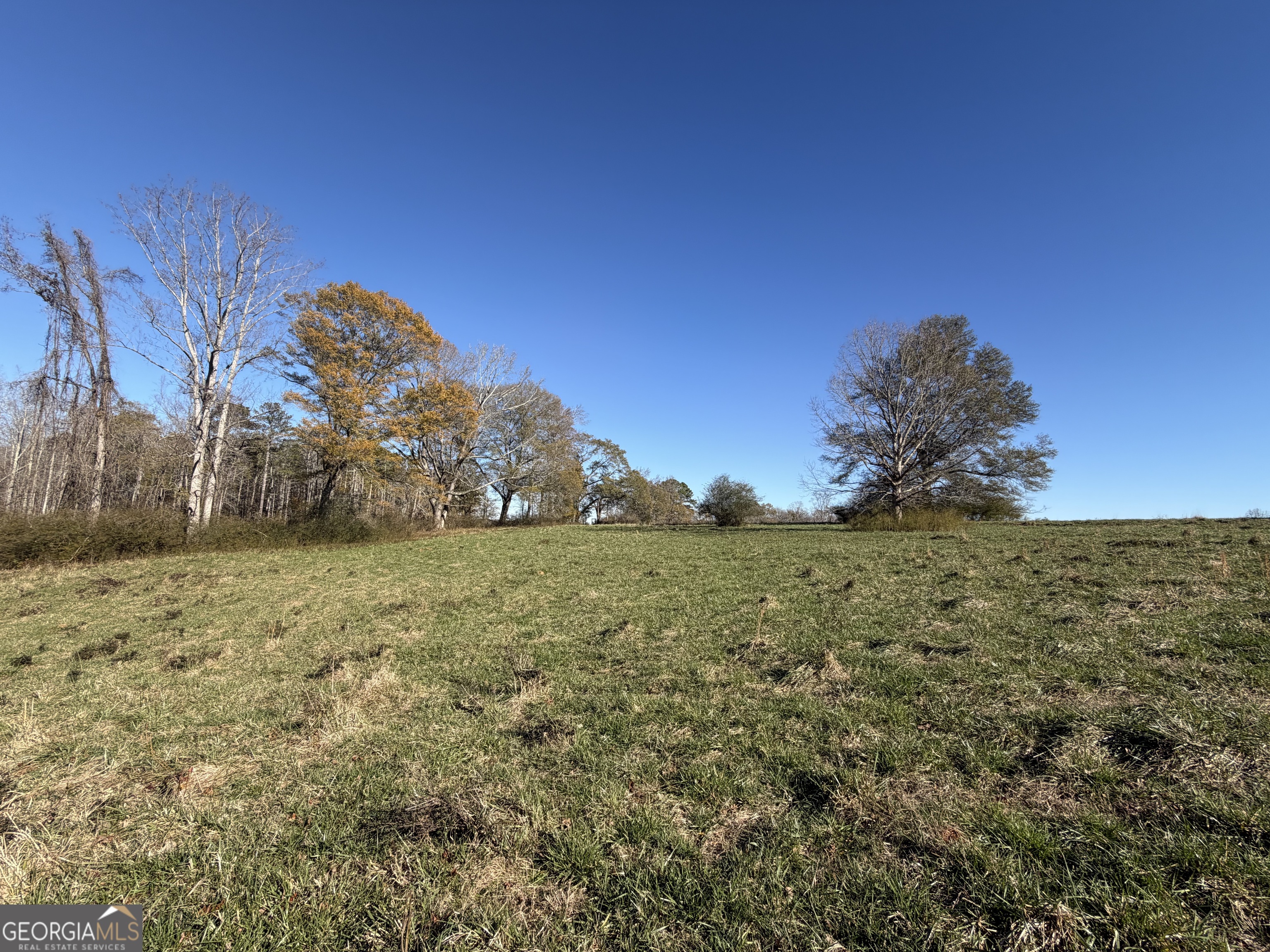 718 Duncan Road Carrollton, GA 30116 - Photo 10 of 41