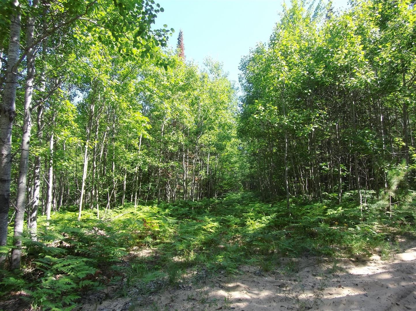 South Ridge Trail Afton, MI 49705 - Photo 1 of 6 Gallery Image 1