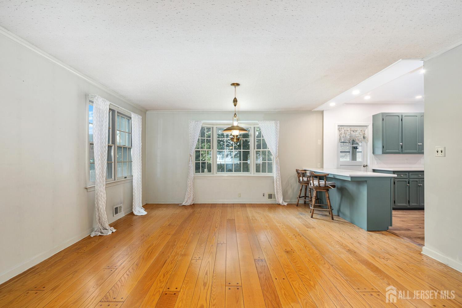 445 Mountain View Terrace Dunellen, NJ 08812 - Photo 8 of 39