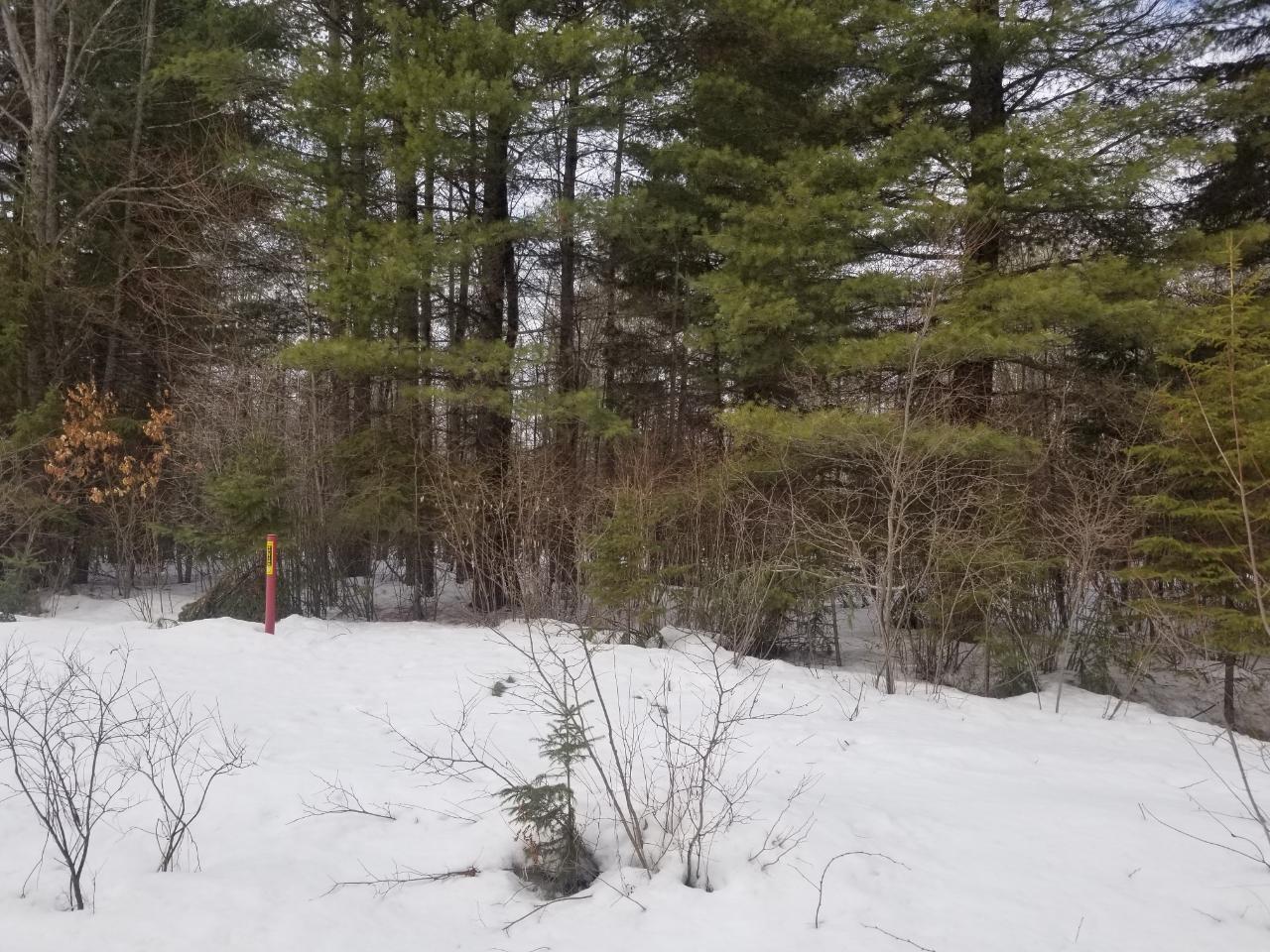 On Loon Lake Road, Unit LOT 3 Eagle River, WI 54521 - Photo 10 of 16 Gallery Image 10