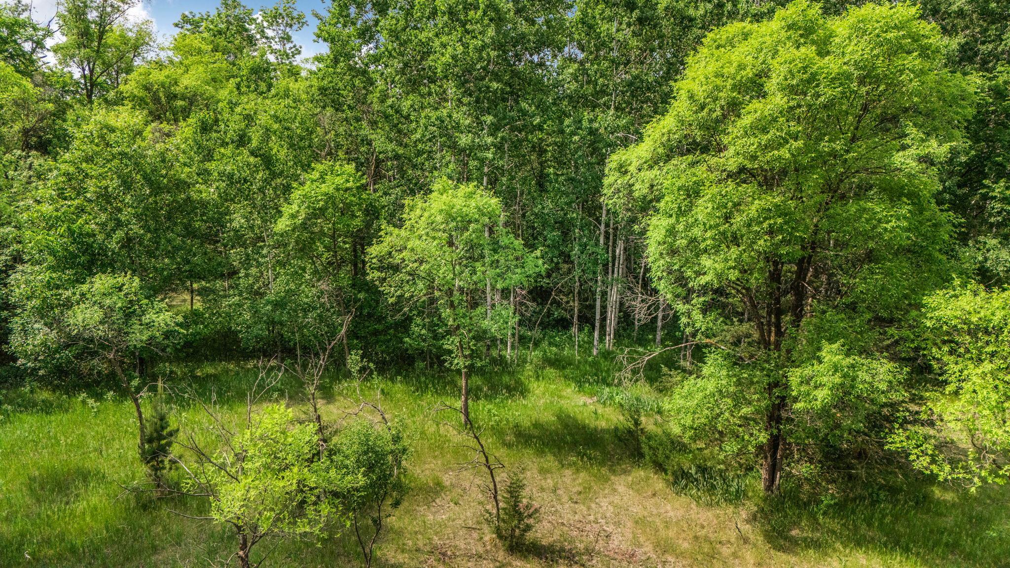 Tbd 223rd Street Cold Spring, MN 56320 - Photo 18 of 22