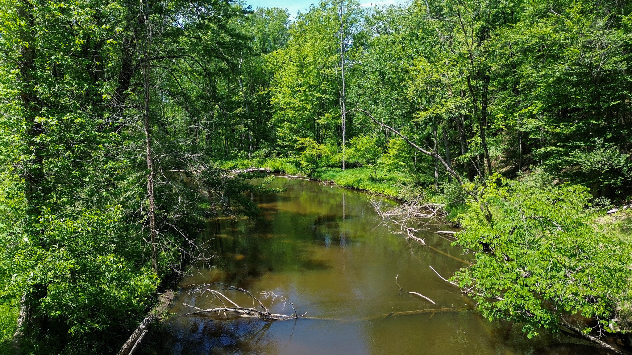 3804 East Wilson Road Custer, MI 49405 - Photo 23 of 39 River LOW