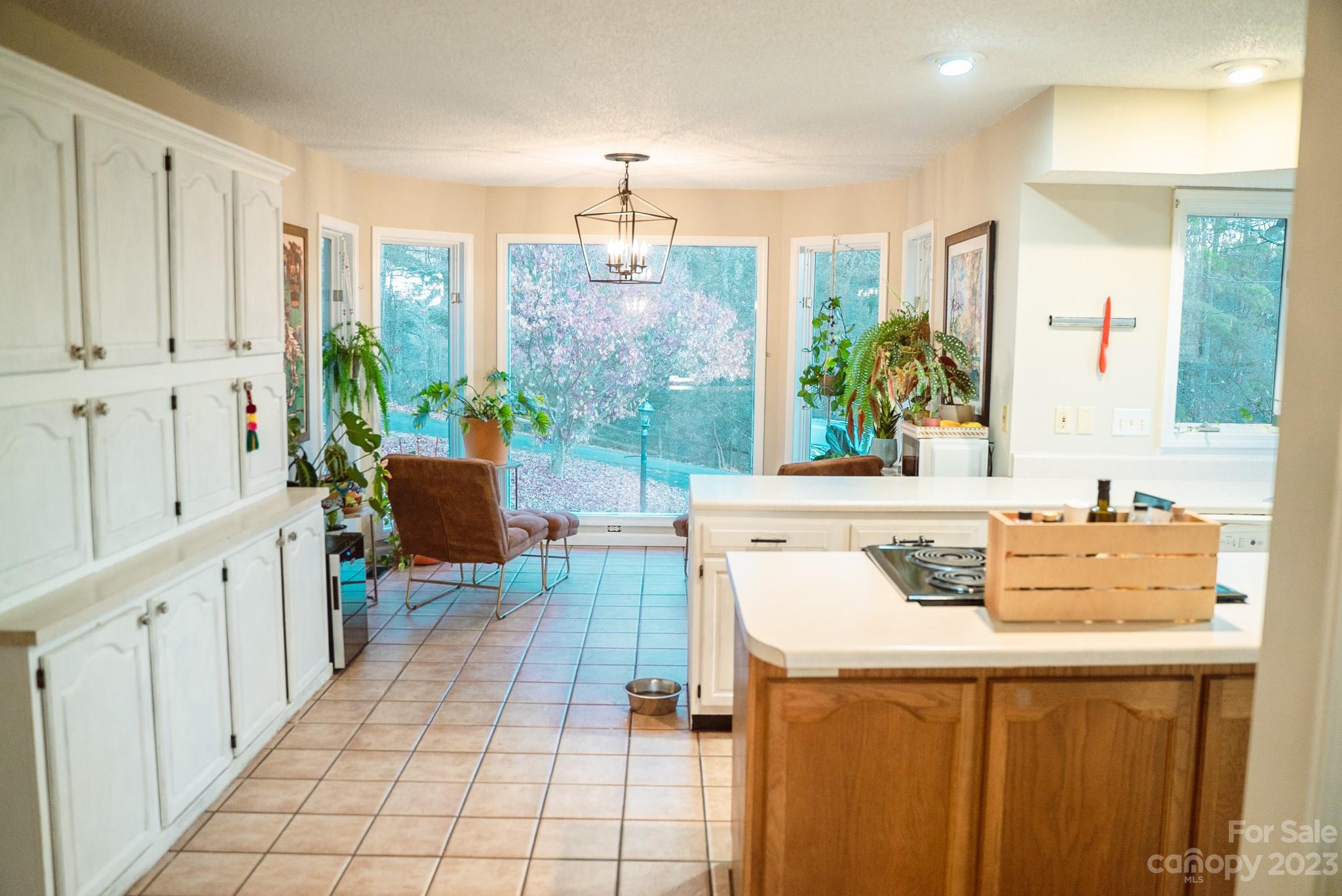 384 Forest Ridge Road Mars Hill, NC 28754 - Photo 10 of 31 Gallery Image 10