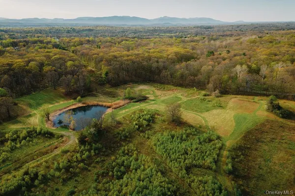 $1,550,000 | 255-265 Ny-308, Rhinebeck, NY 12572