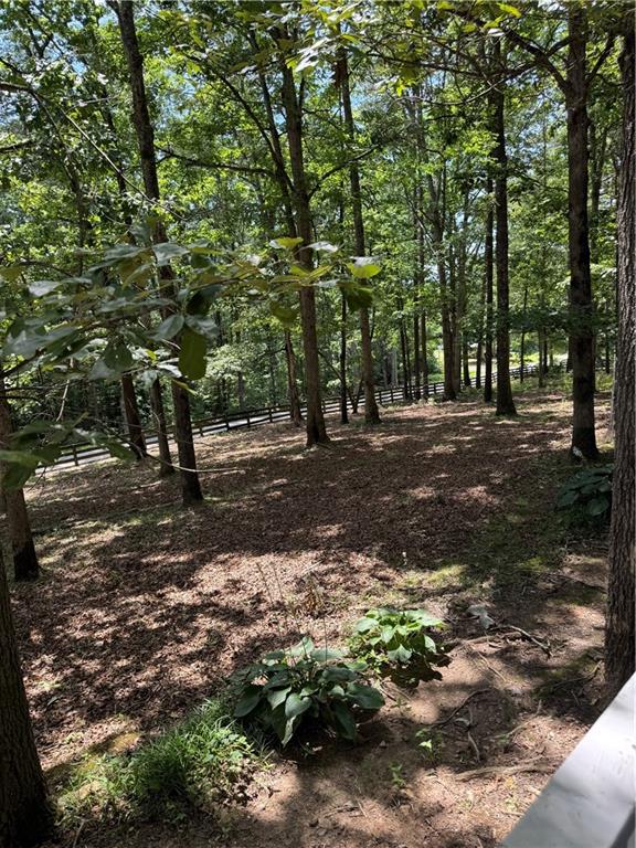 167 Nugget Ridge Road Dawsonville, GA 30534 - Photo 4 of 15