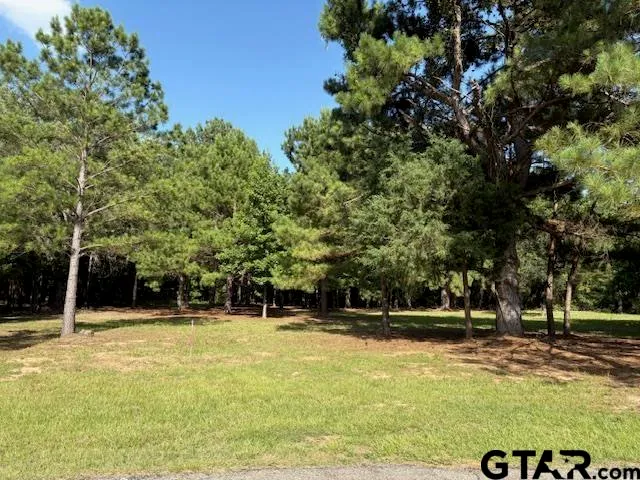 a view of outdoor space with deck and trees
