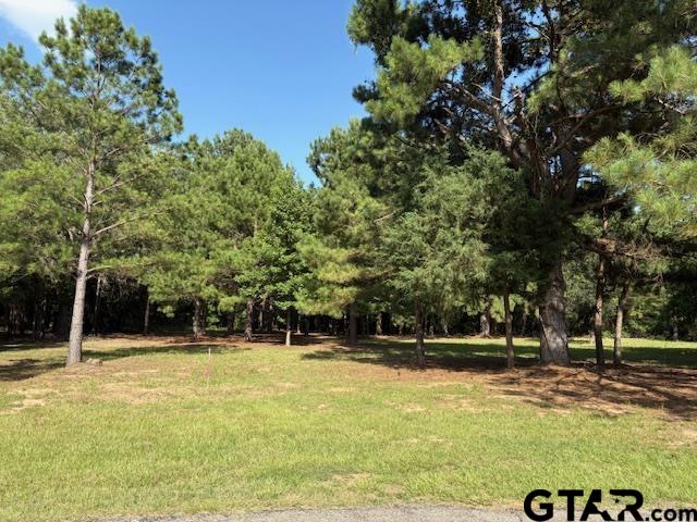 208 Pack Saddle Holly Lake Ranch, TX 75765 - Photo 3 of 11 a view of outdoor space with deck and trees