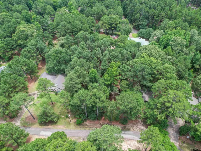 an aerial view of residential house with outdoor space and trees all around