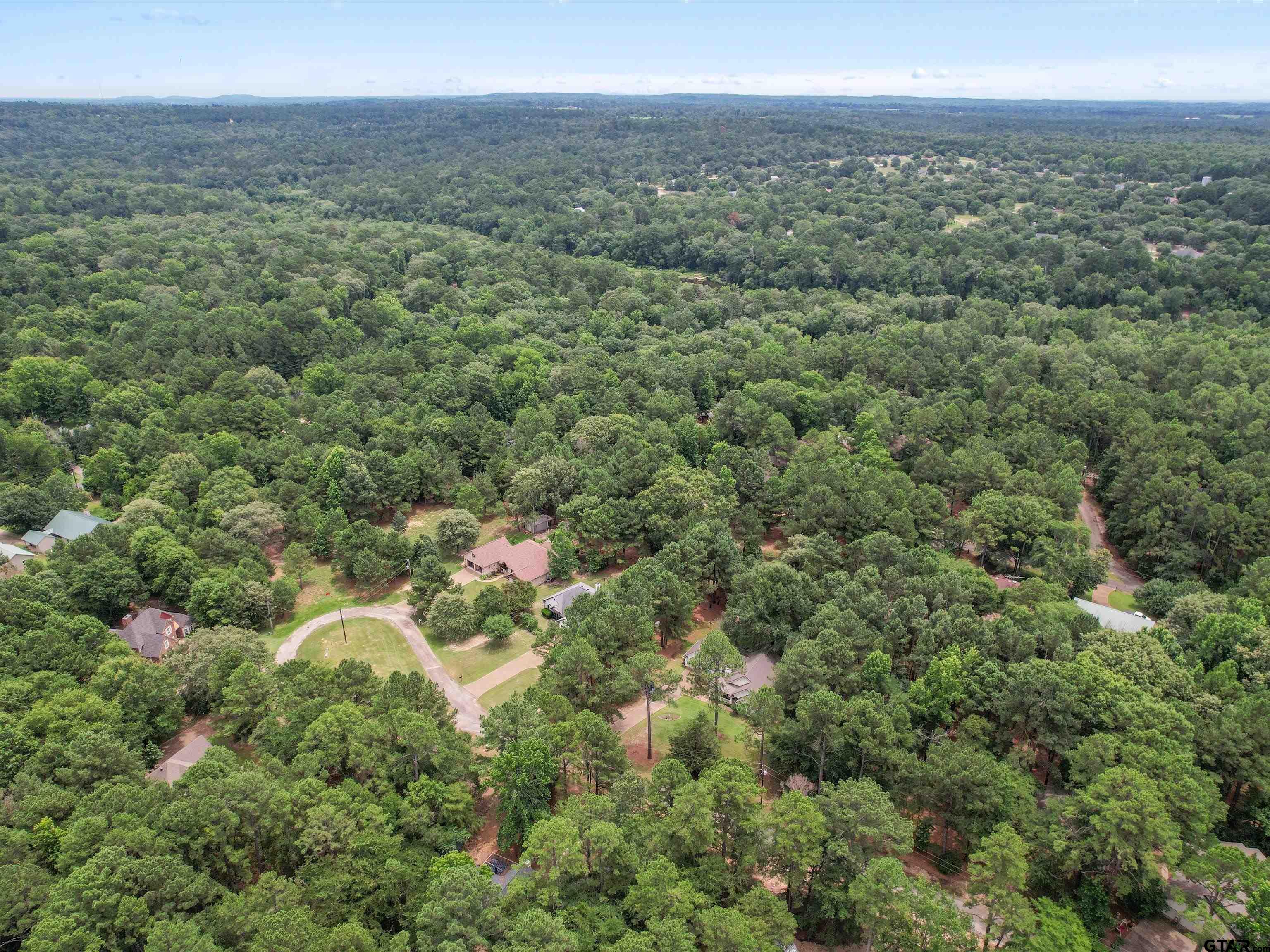 208 Pack Saddle Holly Lake Ranch, TX 75765 - Photo 6 of 11 a view of a city
