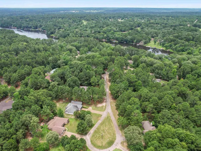 an aerial view of a forest with houses