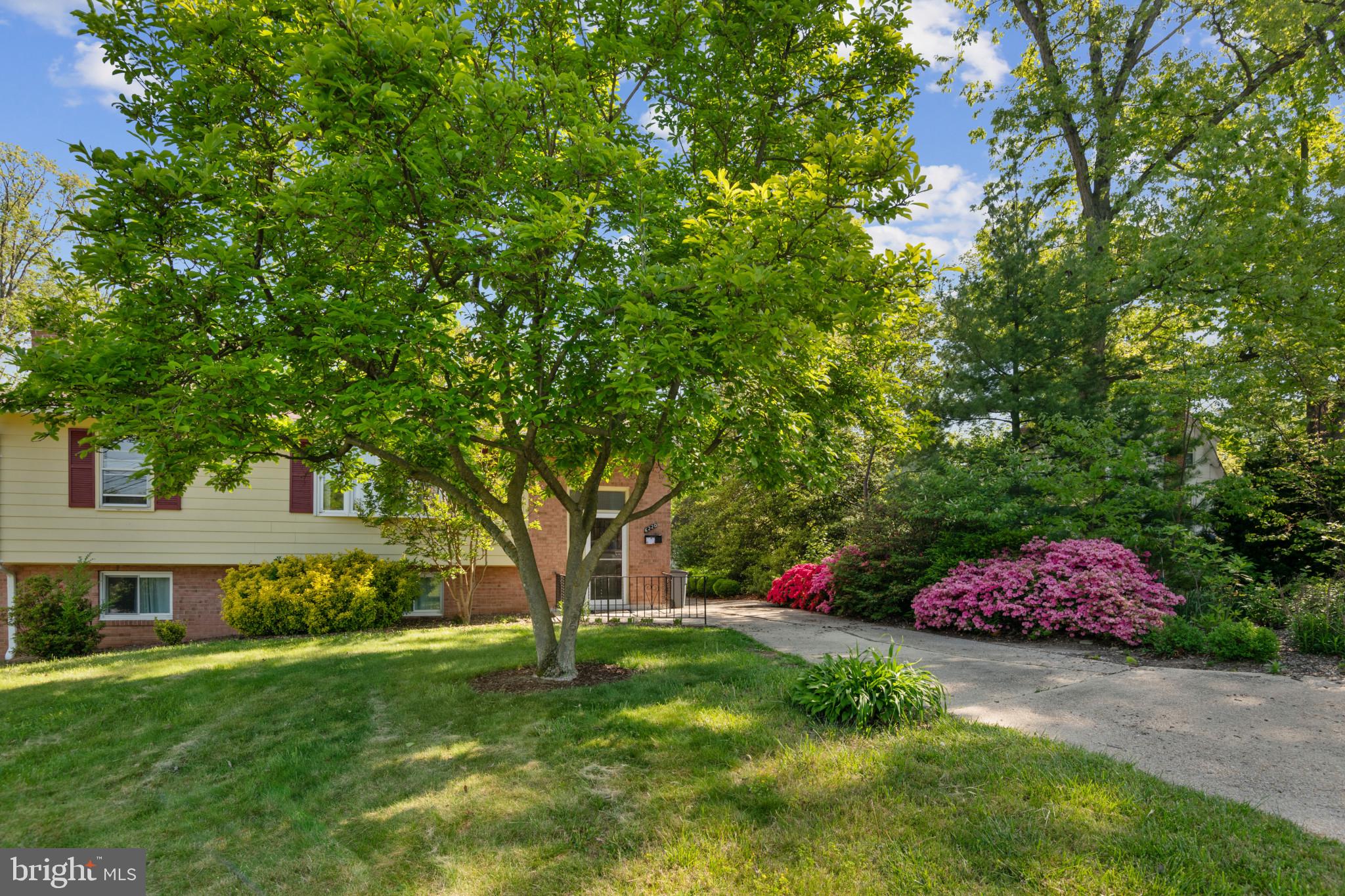 6220 Quebec Place Berwyn Heights, MD 20740 - Photo 43 of 44 Exterior