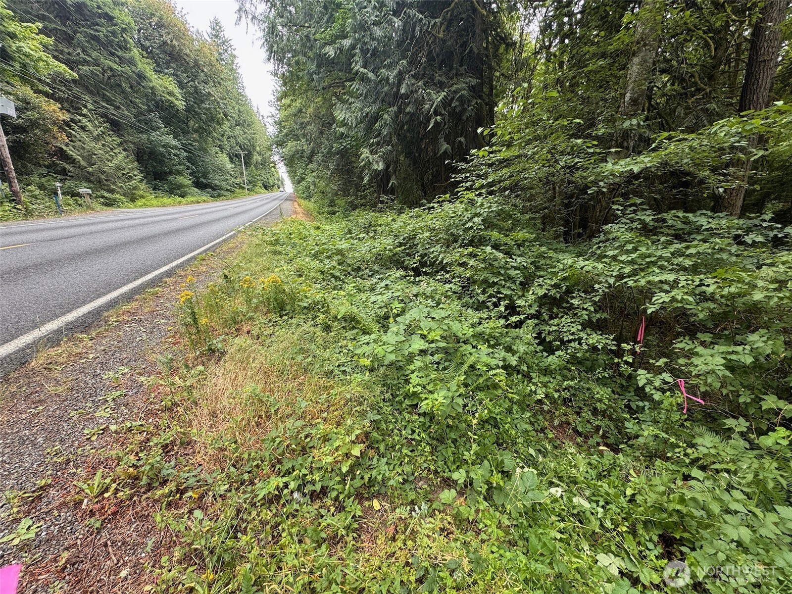 0 Nels Nelson Road Northwest Bremerton, WA 98311 - Photo 14 of 22